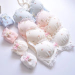 Women’s fancy & Soft Matriyal Sexy Bra & Panty Set (Pack of 4)