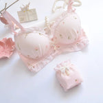 Women’s fancy & Soft Matriyal Sexy Bra & Panty Set (Pack of 4)