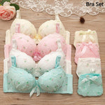 Women's fancy & Soft Matriyal Sexy Bra & Panty Set (Pack of 4)